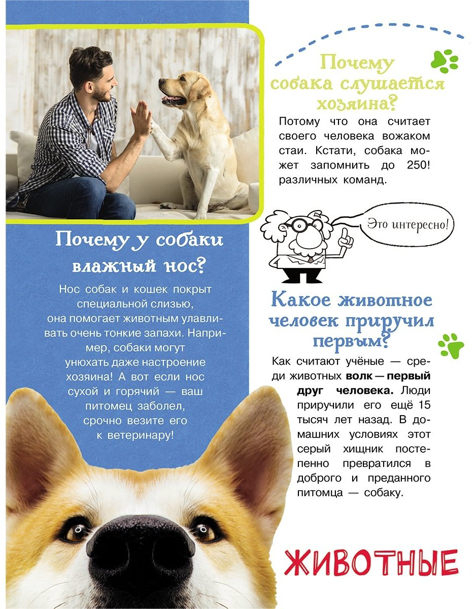 Книга Кузечкин А.: 1000 вопросов и ответов Кузечкин АСТ купить,NaN