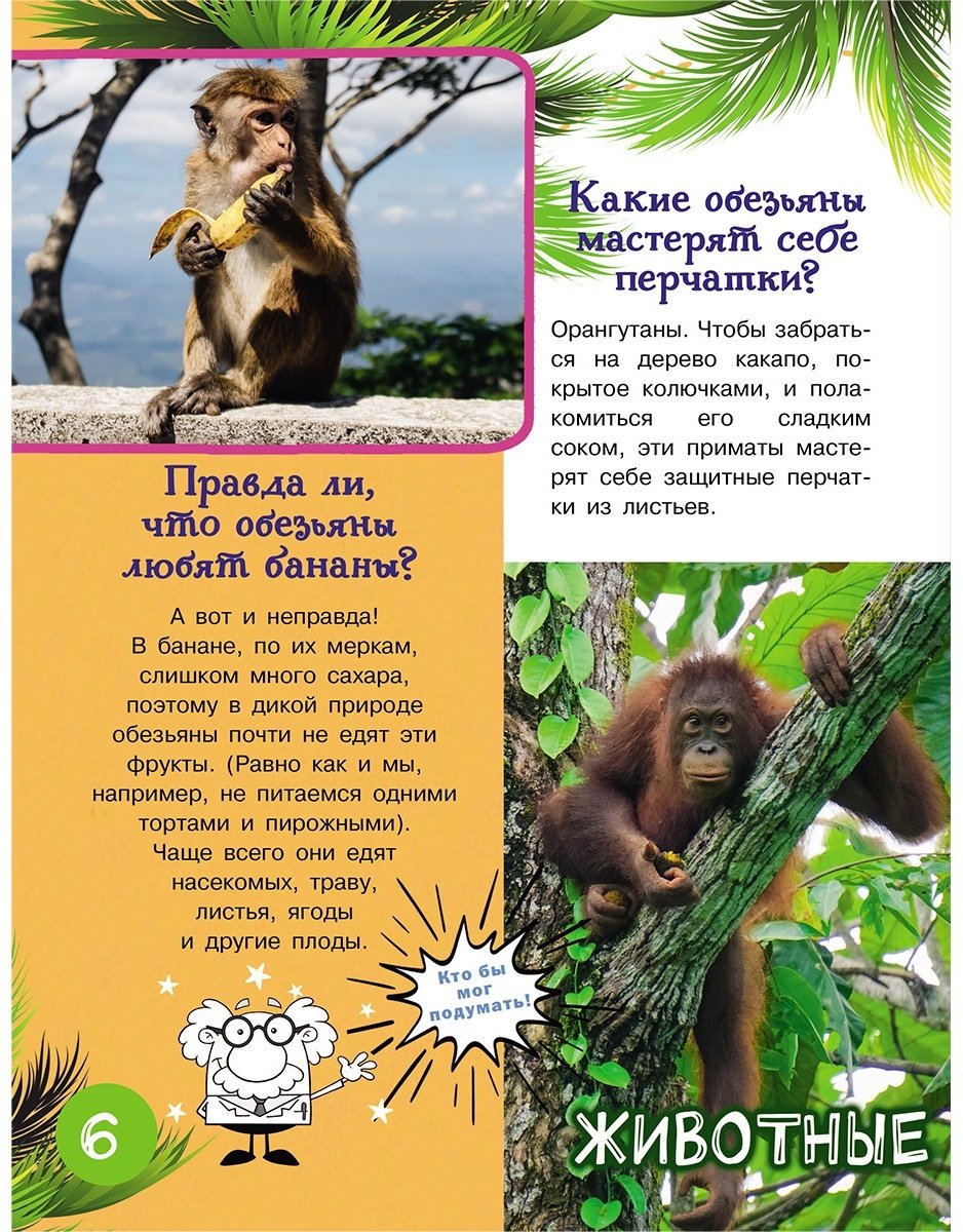 Книга Кузечкин А.: 1000 вопросов и ответов Кузечкин АСТ купить,NaN