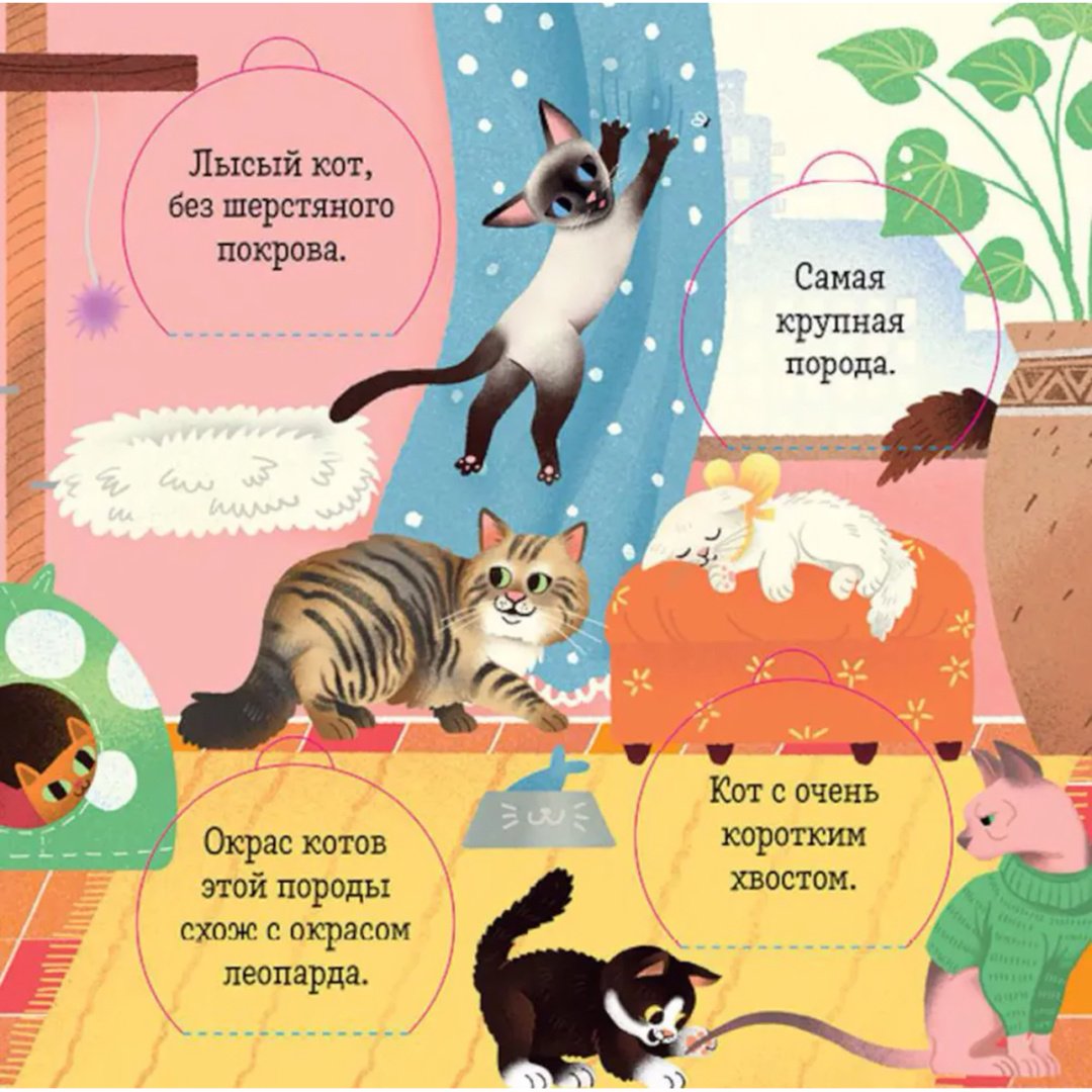 Книга Без автора: Любимые животные.&nbsp;Энциклопедия с окошками купить,NaN