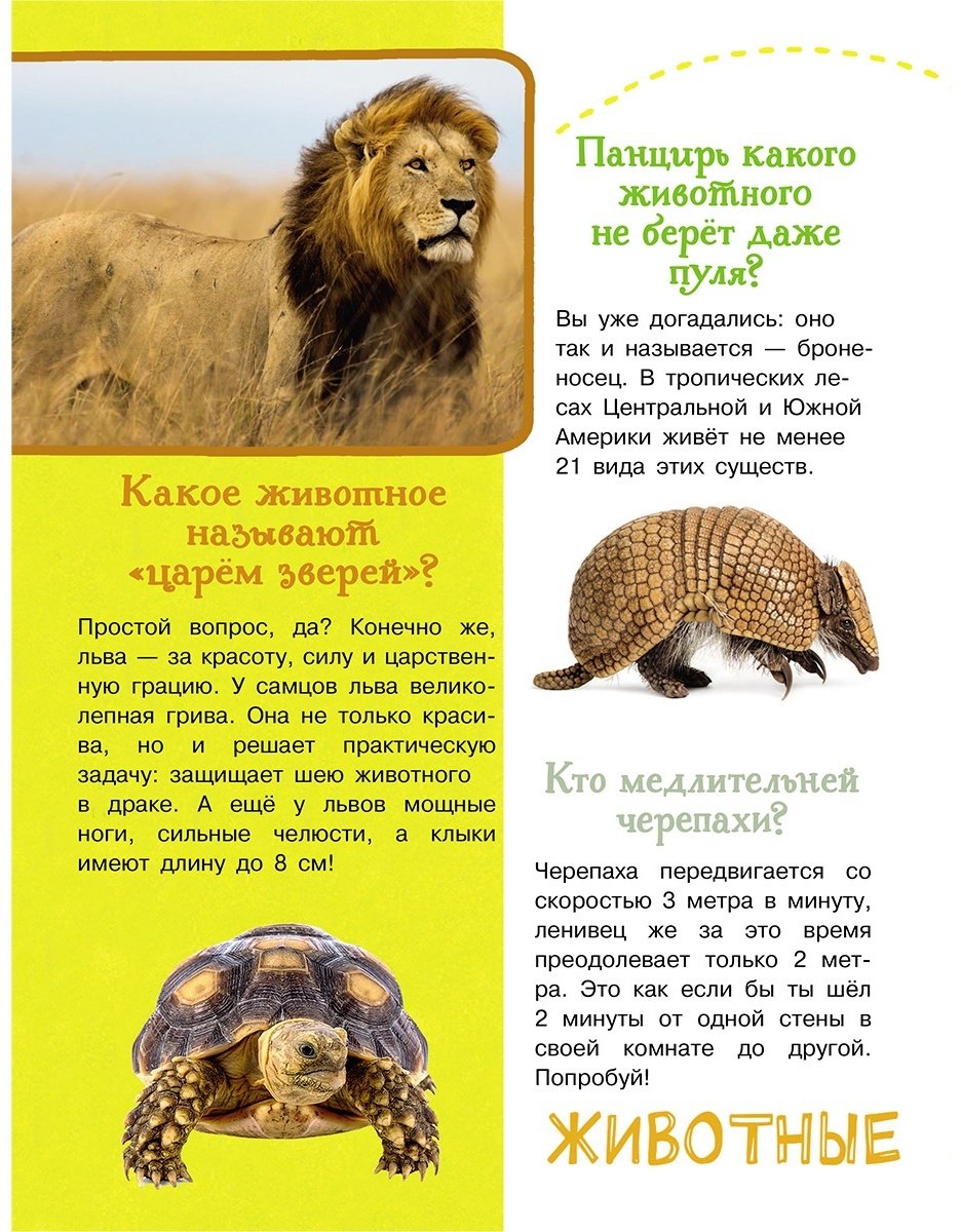 Книга Кузечкин А.: 1000 вопросов и ответов Кузечкин АСТ купить,NaN