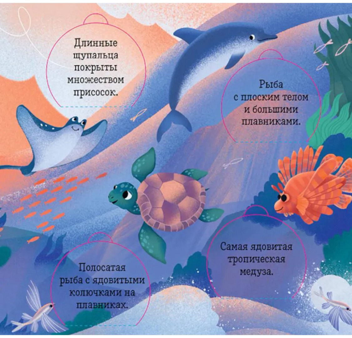 Книга Без автора: Океаны и моря.&nbsp;Энциклопедия с окошками купить,NaN