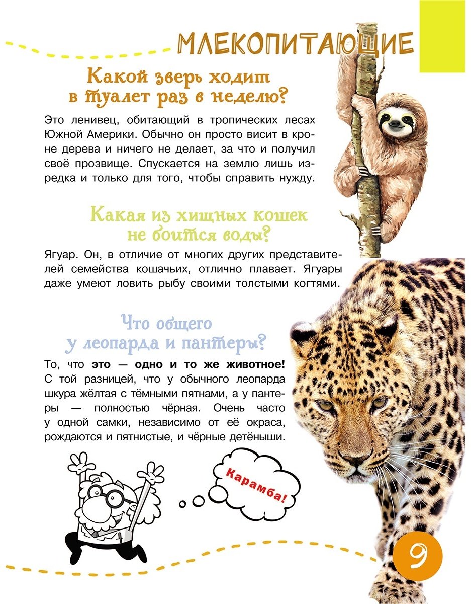 Книга Кузечкин А.: 1000 вопросов и ответов Кузечкин АСТ купить,NaN