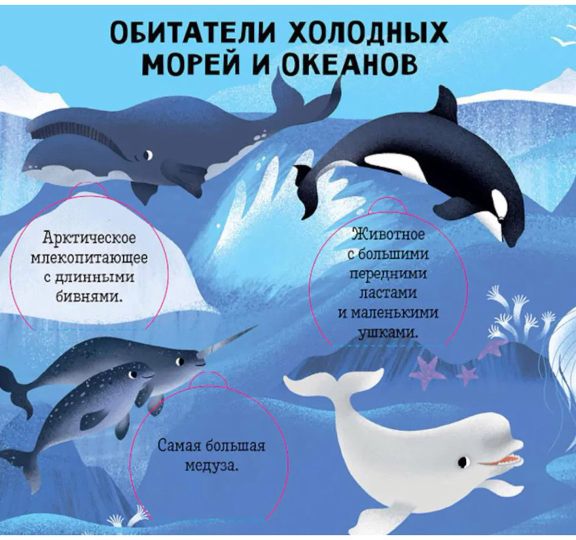 Книга Без автора: Океаны и моря.&nbsp;Энциклопедия с окошками купить,NaN