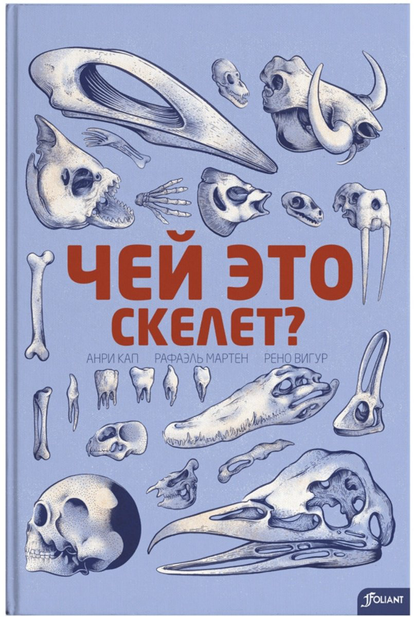Книга Вигур Р., Кап А., Мартен Р.: Чей это скелет купить,NaN