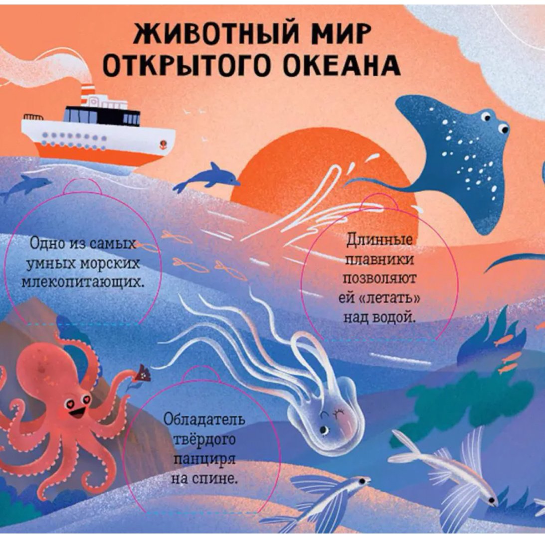 Книга Без автора: Океаны и моря.&nbsp;Энциклопедия с окошками купить,NaN