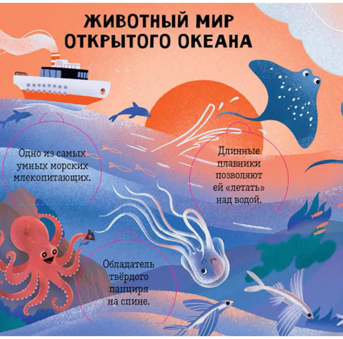Книга Без автора: Океаны и моря.&nbsp;Энциклопедия с окошками купить,NaN