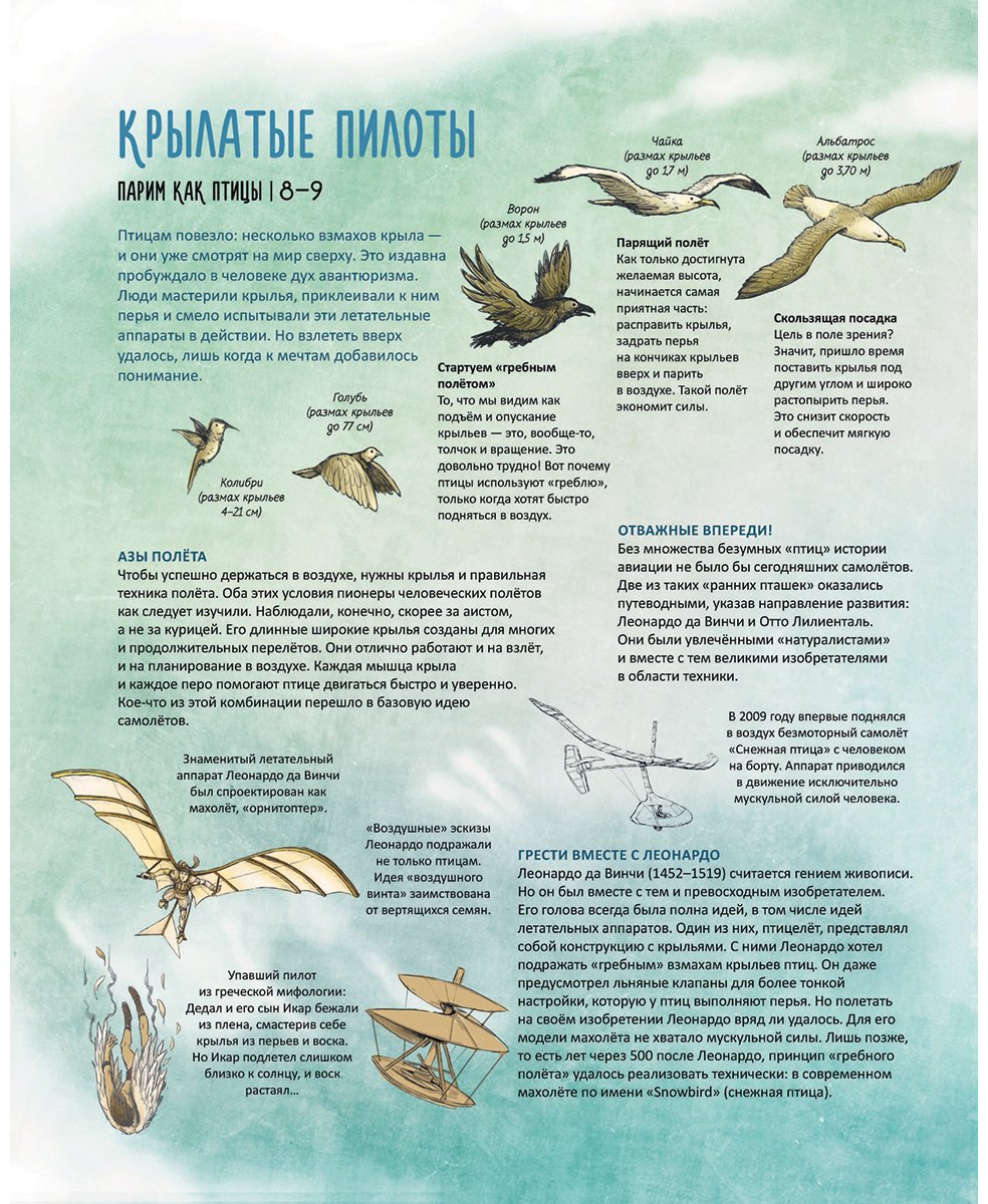 Книга Лайбл М.: Смотри, как разумно устроено! Бионика: когда природа вдохновляет технику купить,NaN