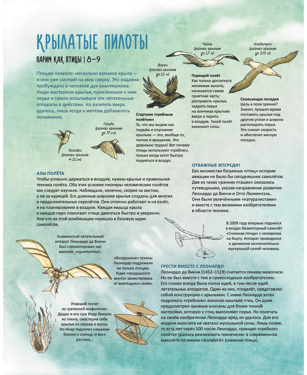 Книга Лайбл М.: Смотри, как разумно устроено! Бионика: когда природа вдохновляет технику купить,NaN