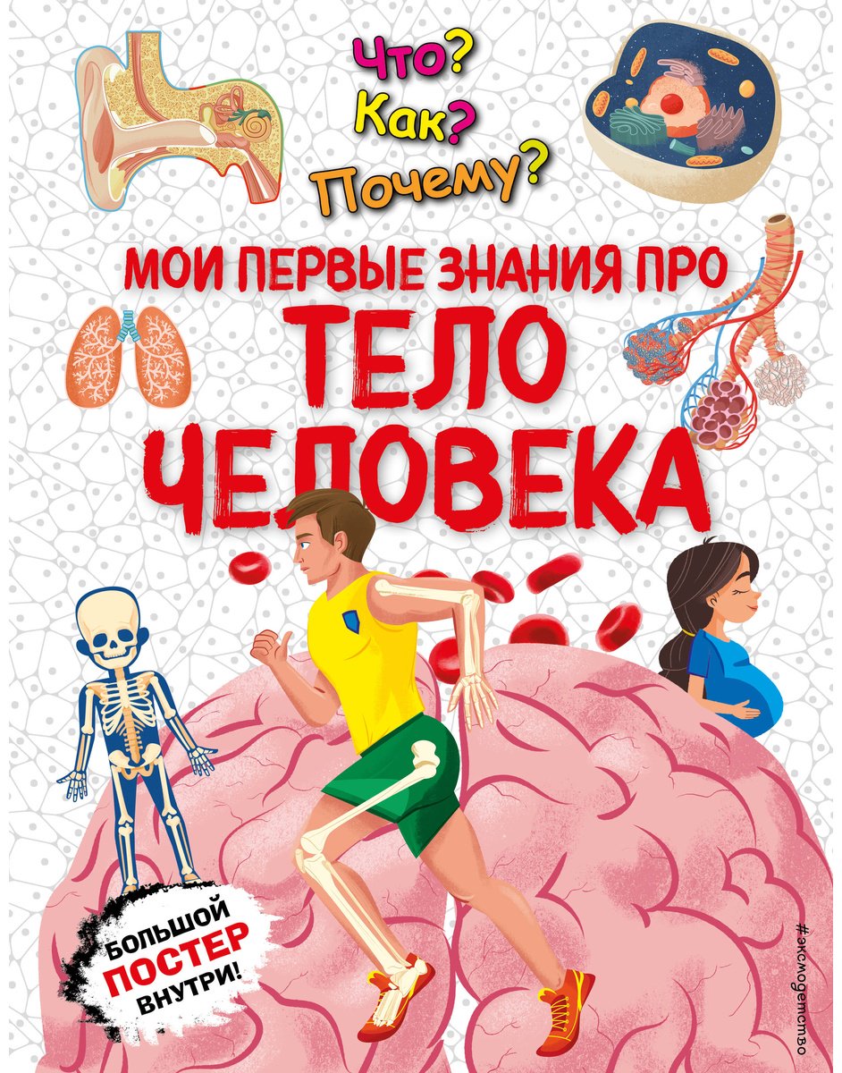 Книга Что Как Почему Мои первые знания про тело человека купить,NaN