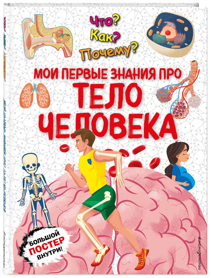 Книга Что Как Почему Мои первые знания про тело человека купить,NaN