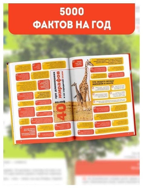 Книга Без автора: 5000 удивительных фактов, которые можно изучать целый год купить,NaN