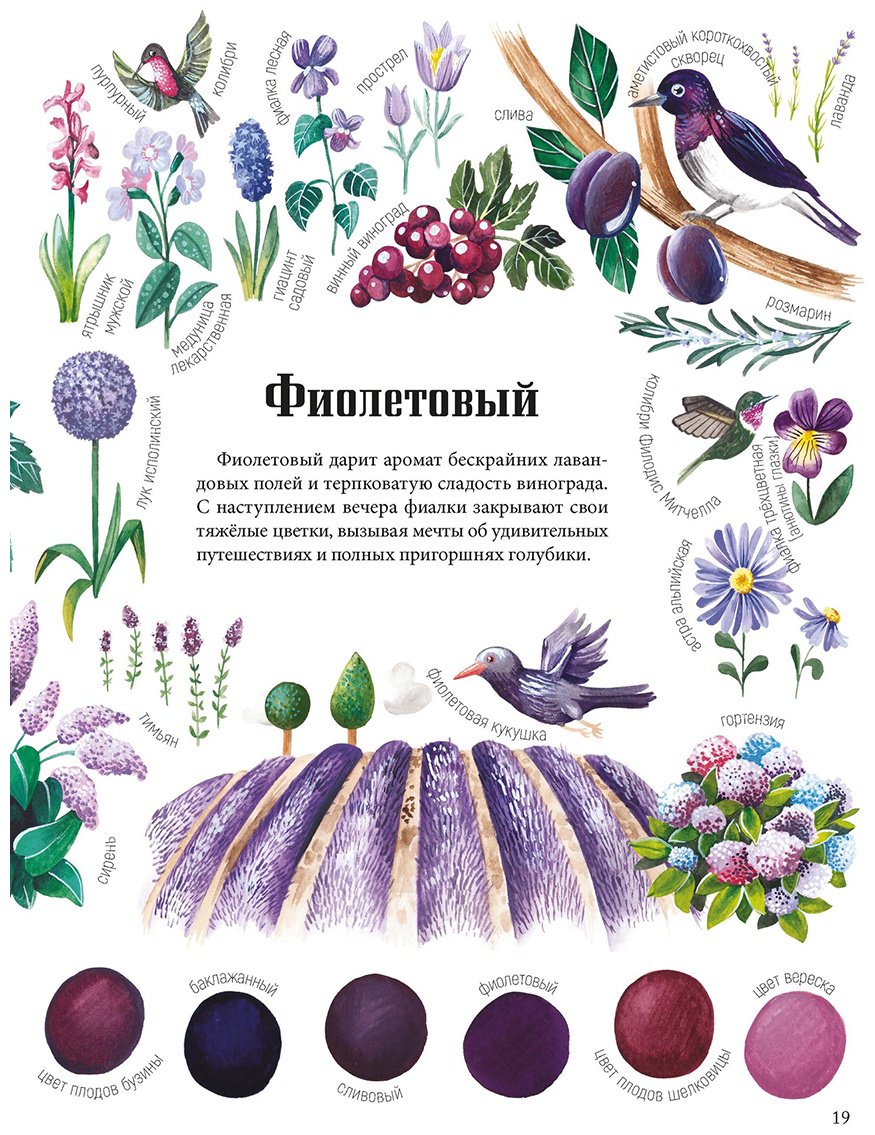 Книга Седлачкова Я., Сэканинова Ш.: Двенадцать красок природы купить,NaN