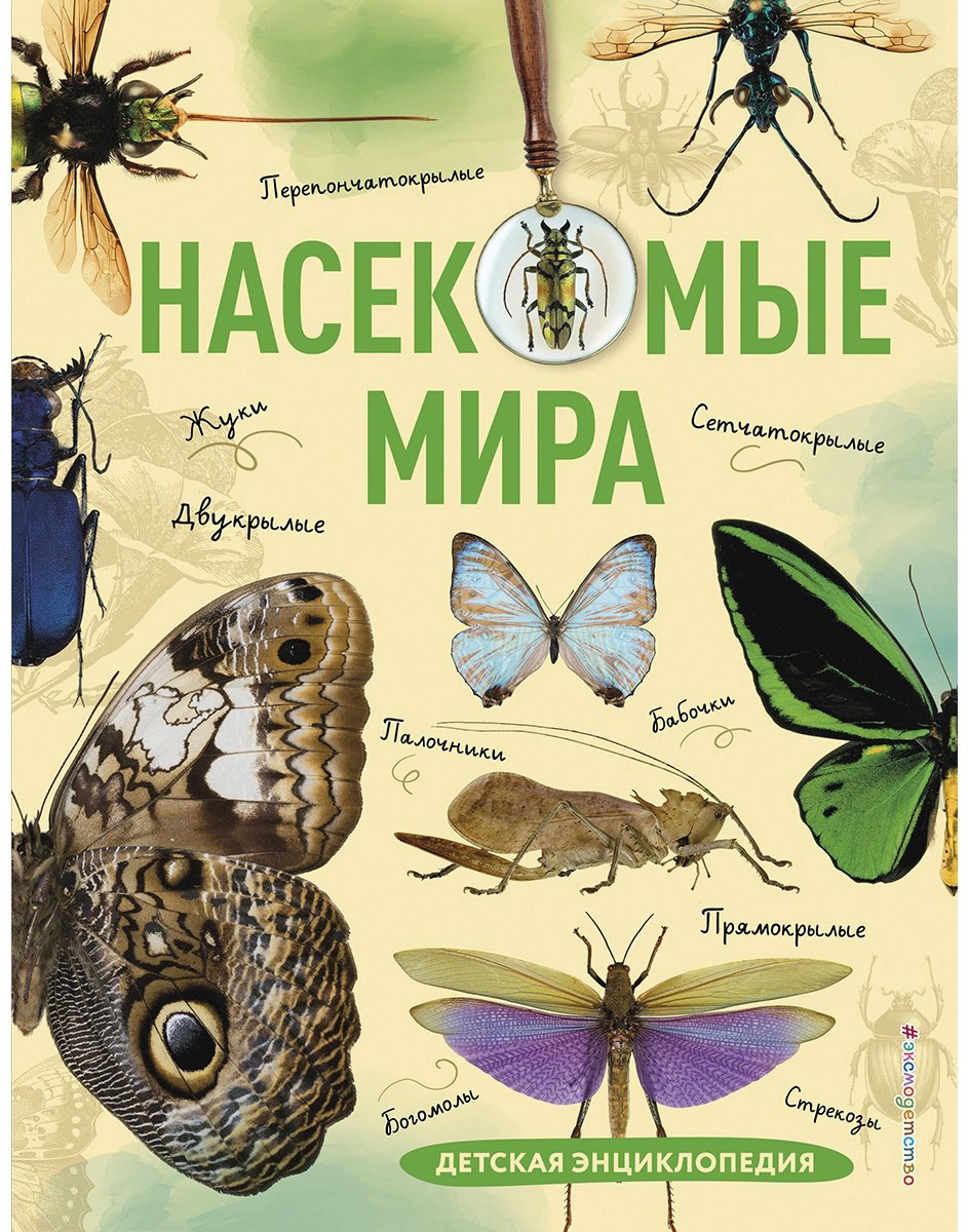Книга Сочивко А.: Насекомые мира. Детская энциклопедия купить,NaN