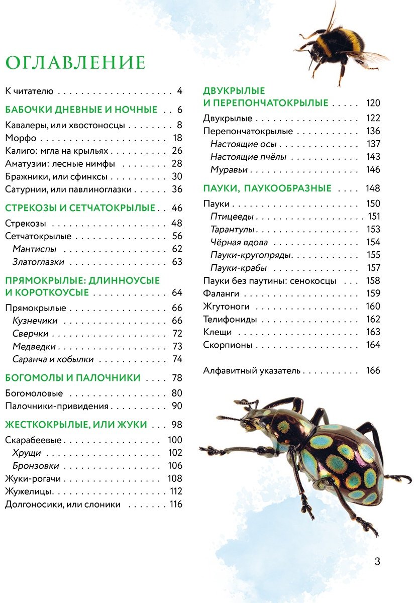 Книга Сочивко А.: Насекомые мира. Детская энциклопедия купить,NaN