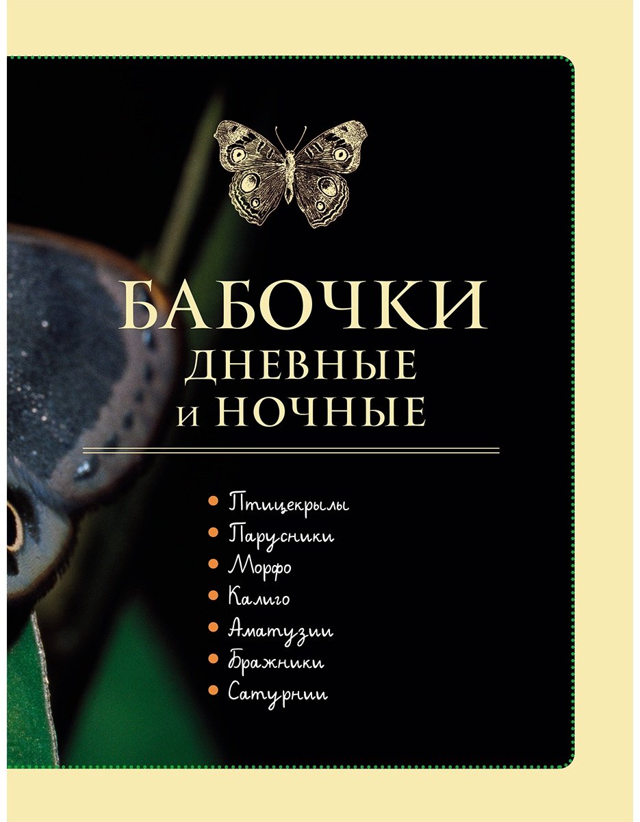 Книга Сочивко А.: Насекомые мира. Детская энциклопедия купить,NaN