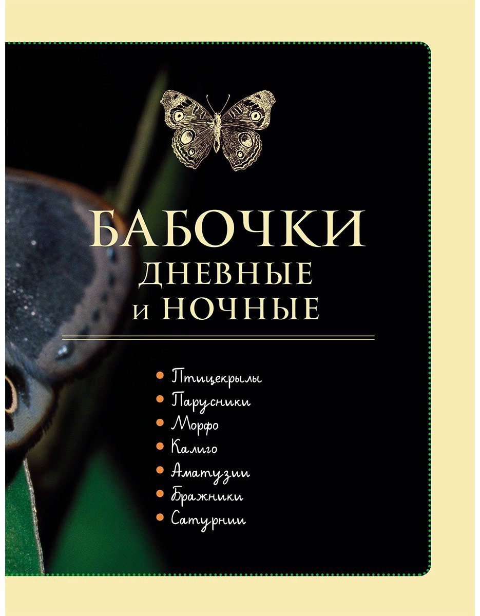Книга Сочивко А.: Насекомые мира. Детская энциклопедия купить,NaN