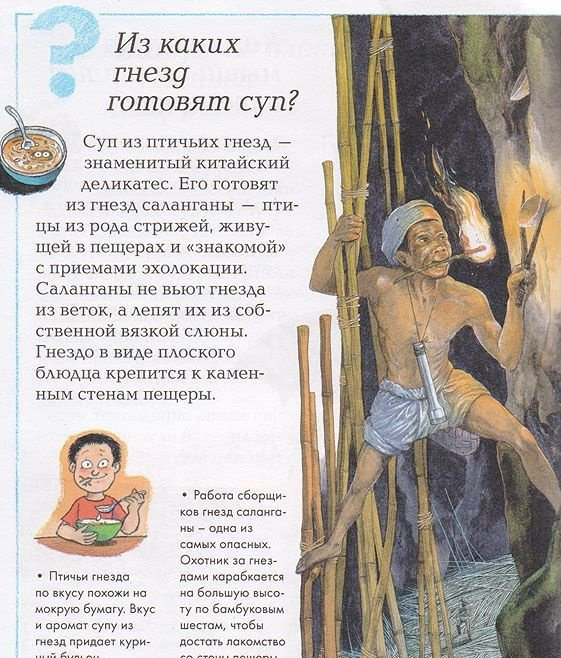 Книга Что, зачем и почему? Энциклопедия для любознательных купить,NaN