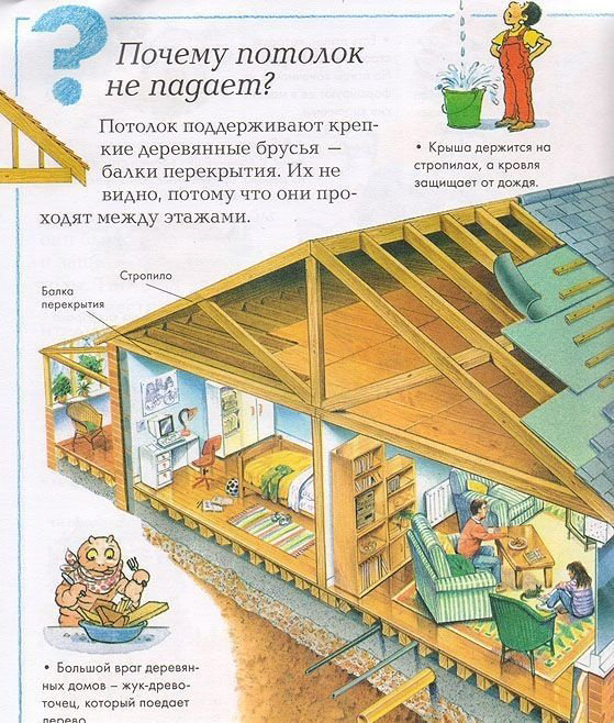 Книга Что, зачем и почему? Энциклопедия для любознательных купить,NaN