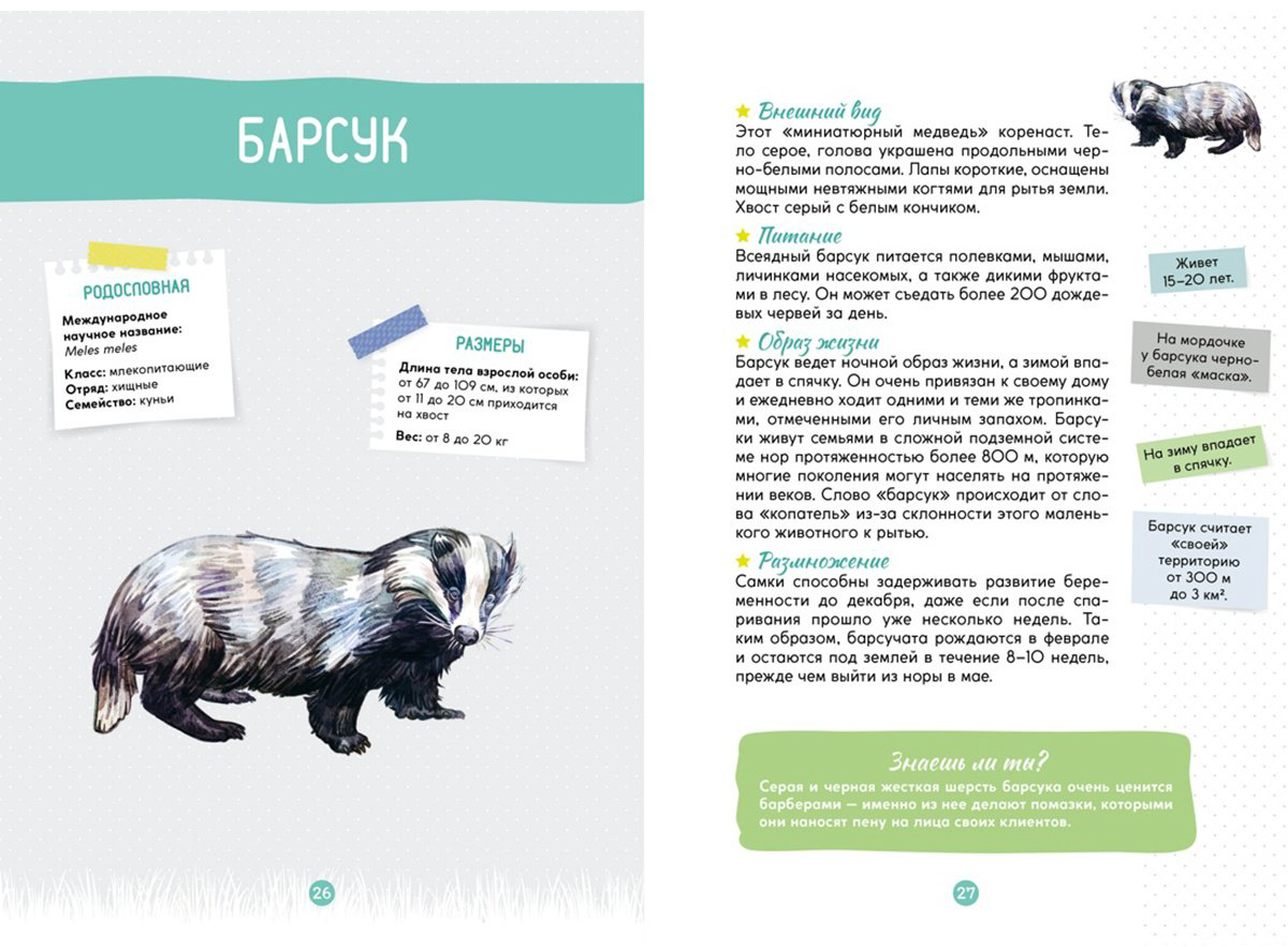 Книга Жапьо Ксавье: Лесные животные купить,NaN