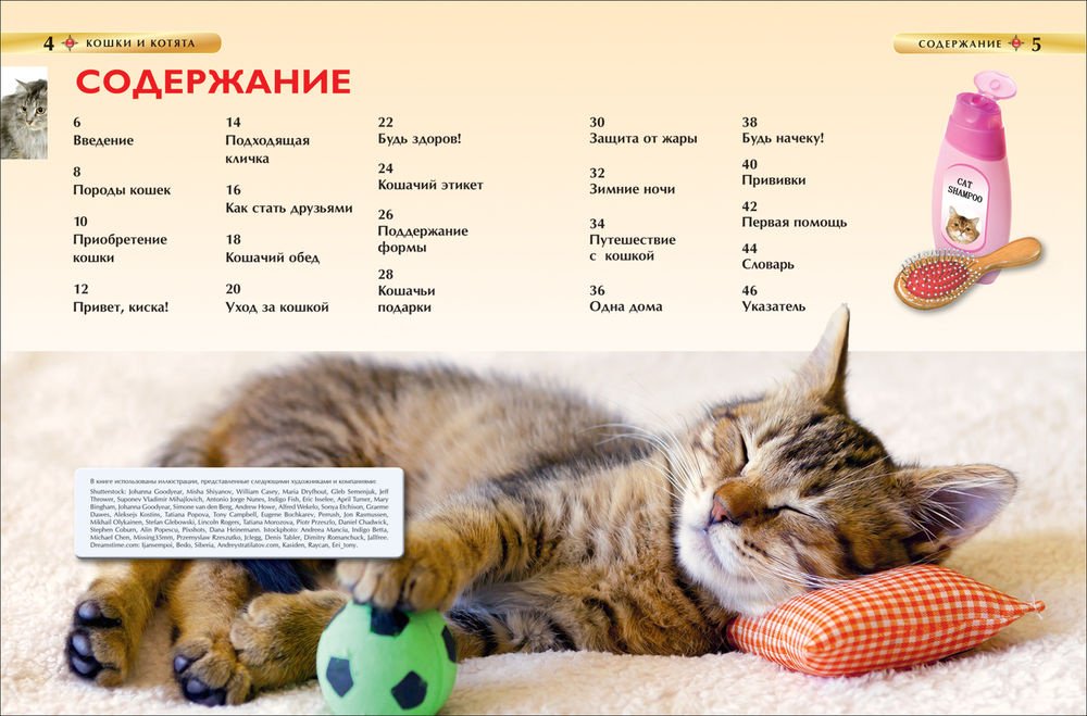 Книга Кошки и котята.&nbsp;Детская энциклопедия купить,NaN