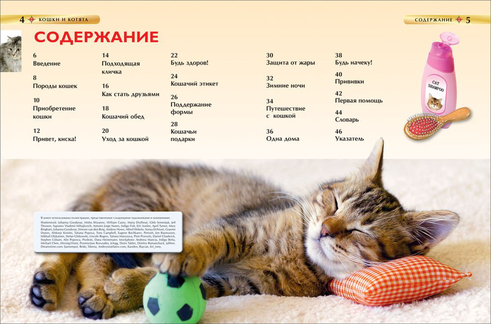 Книга Кошки и котята.&nbsp;Детская энциклопедия купить,NaN