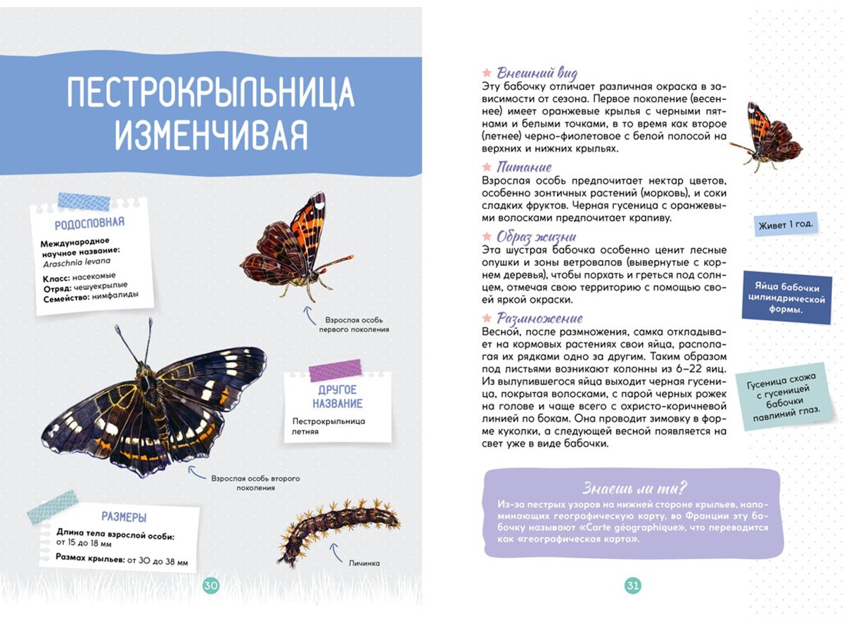 Книга Жапьо Ксавье: Лесные животные купить,NaN