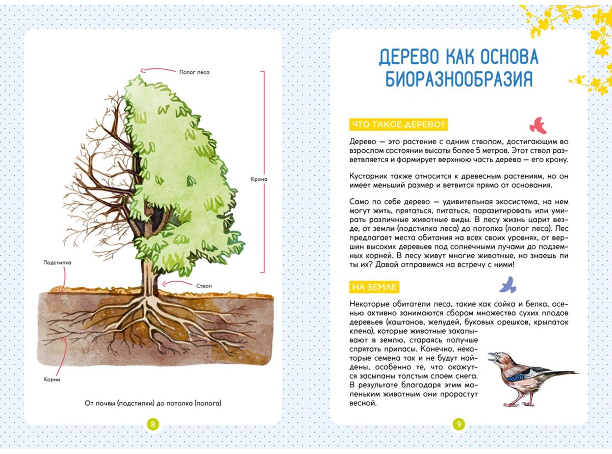 Книга Жапьо Ксавье: Лесные животные купить,NaN