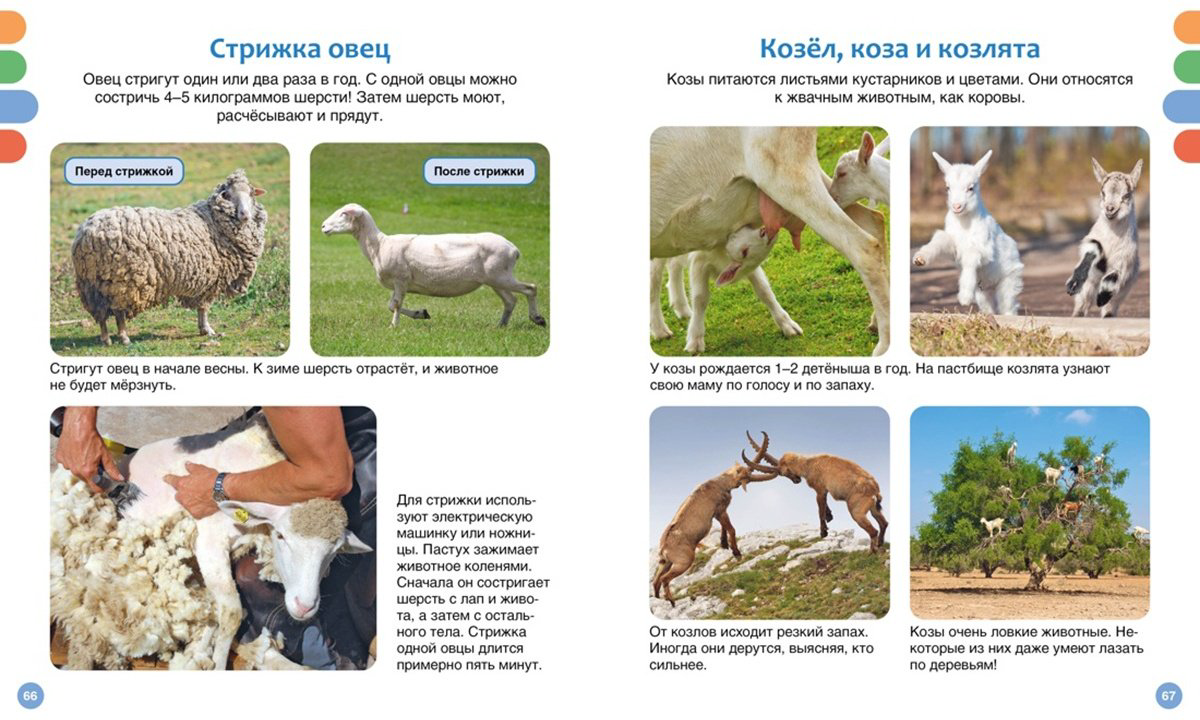 Книга Гийоре М.: Полезные машины и животные фермы купить,NaN