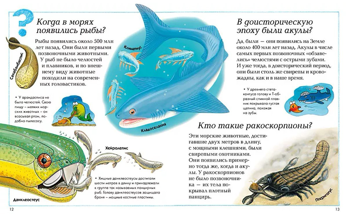 Книга Где, что и когда? Энциклопедия для любознательных купить,NaN