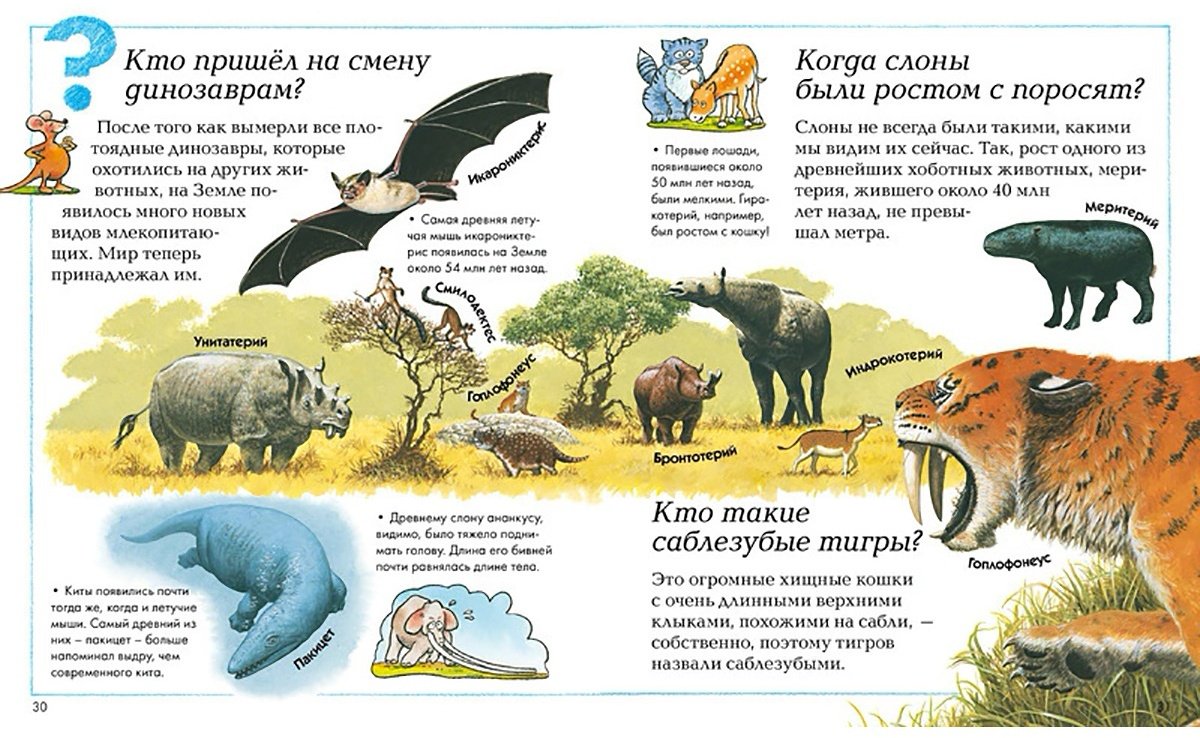 Книга Где, что и когда? Энциклопедия для любознательных купить,NaN