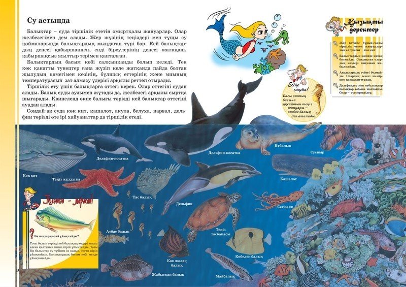 Книга Жануарлар, құстар, жәндіктер купить,NaN