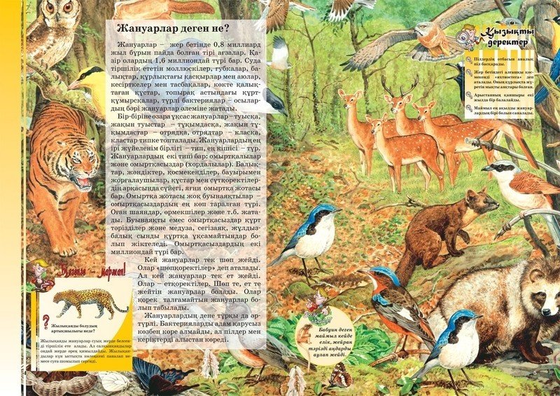 Книга Жануарлар, құстар, жәндіктер купить,NaN