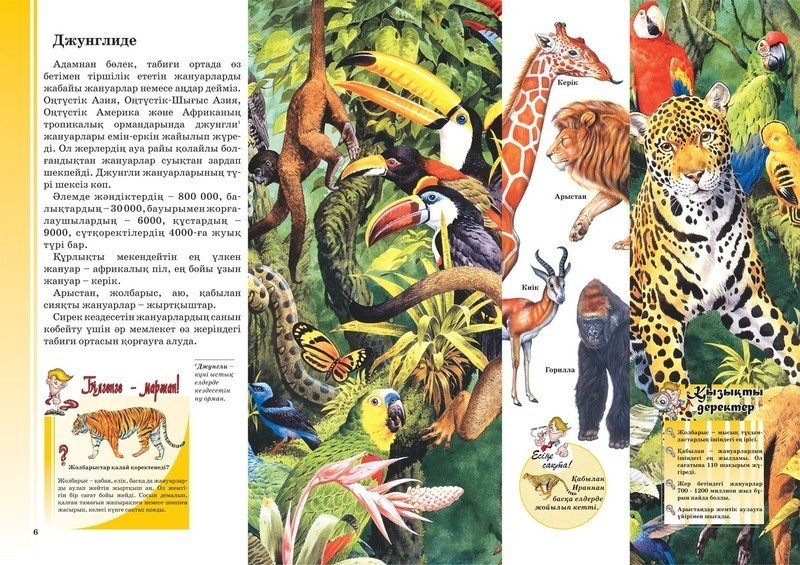 Книга Жануарлар, құстар, жәндіктер купить,NaN