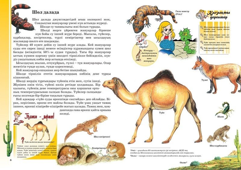 Книга Жануарлар, құстар, жәндіктер купить,NaN