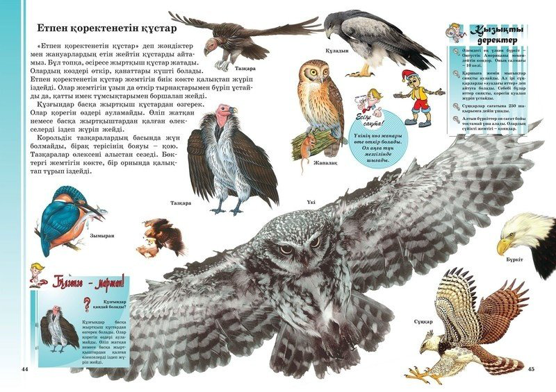 Книга Жануарлар, құстар, жәндіктер купить,NaN