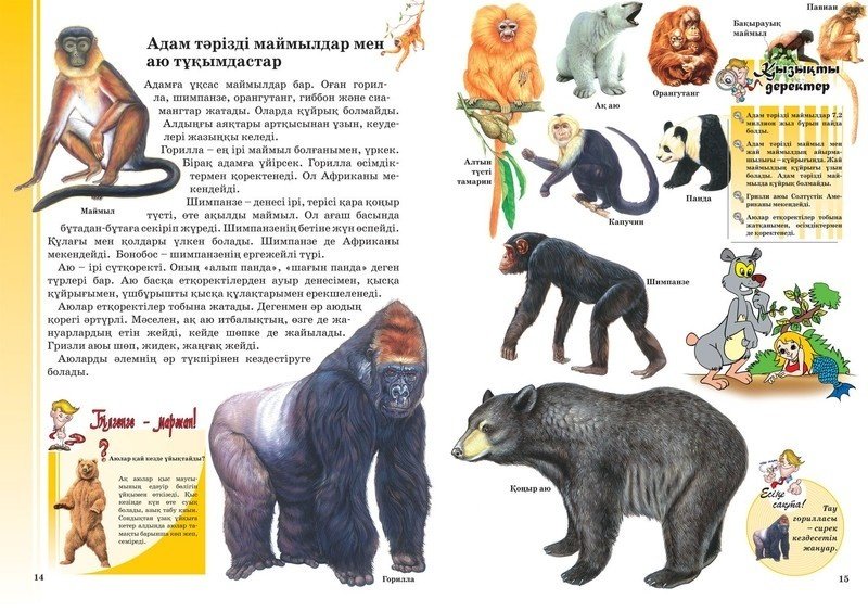 Книга Жануарлар, құстар, жәндіктер купить,NaN