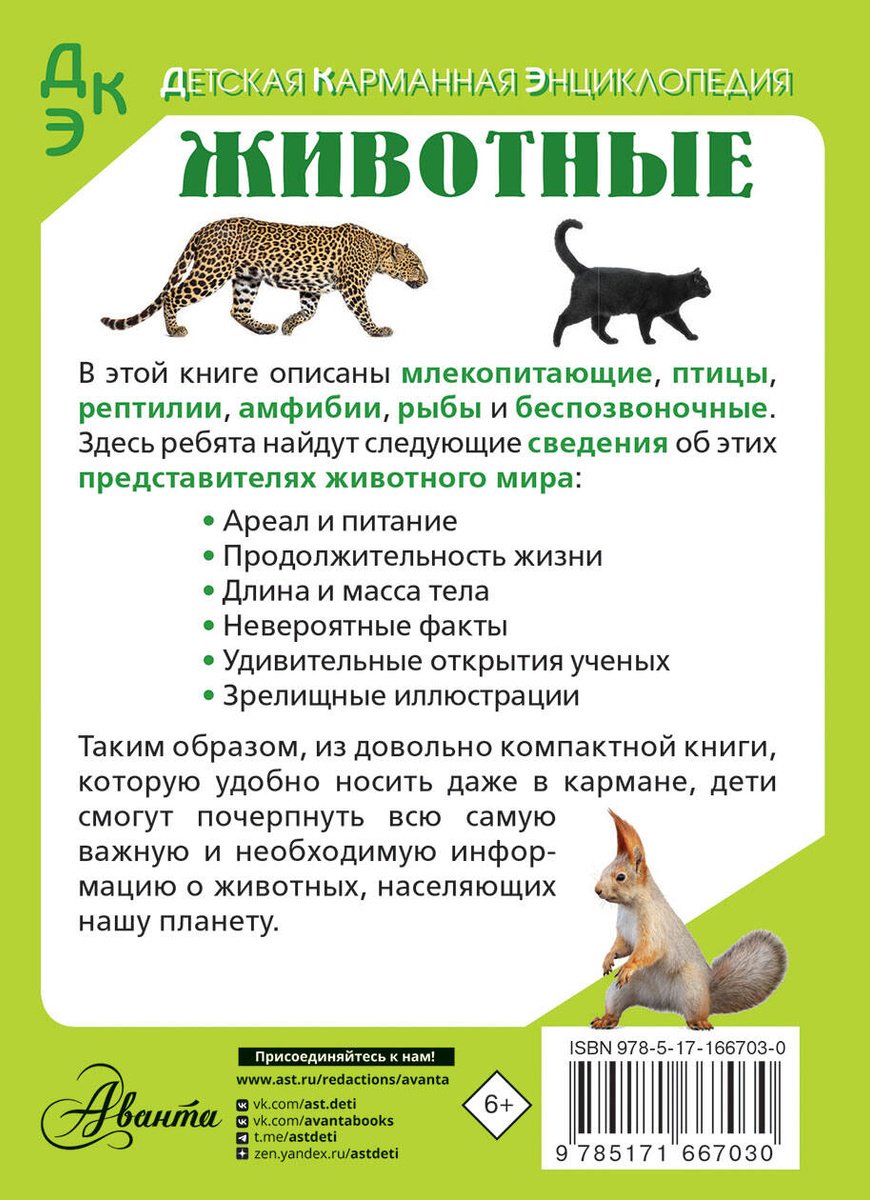 Книга Медведев Д. Ю., Хомич Е. О.: Животные купить,NaN