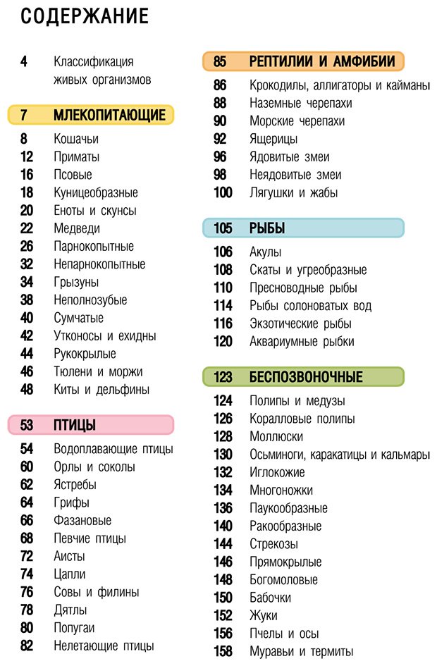 Книга Медведев Д. Ю., Хомич Е. О.: Животные купить,NaN