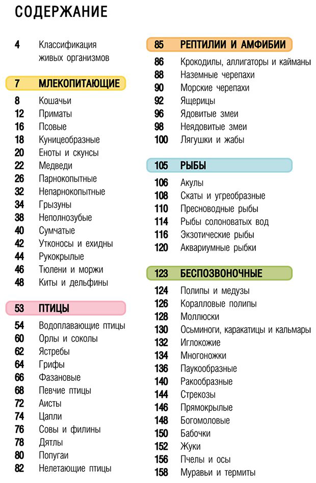Книга Медведев Д. Ю., Хомич Е. О.: Животные купить,NaN