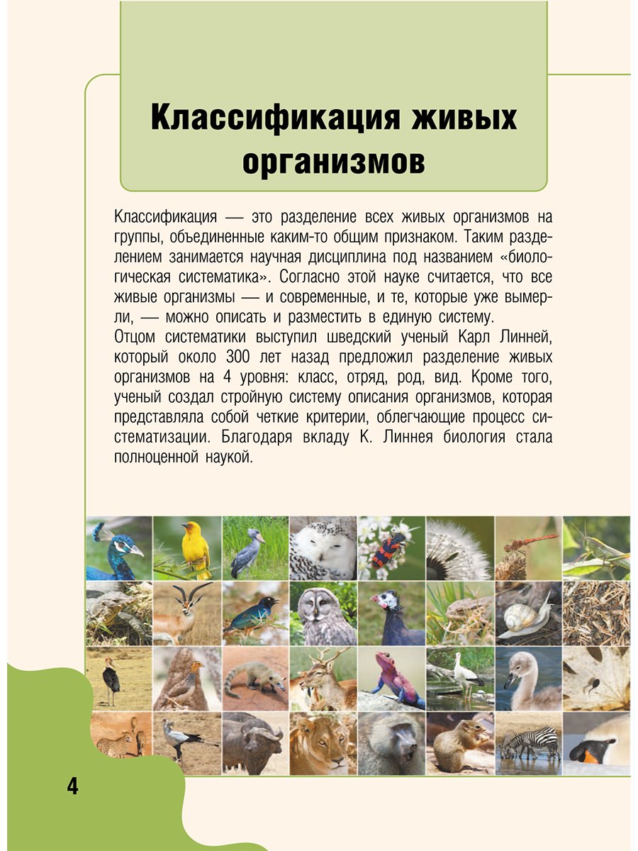 Книга Медведев Д. Ю., Хомич Е. О.: Животные купить,NaN