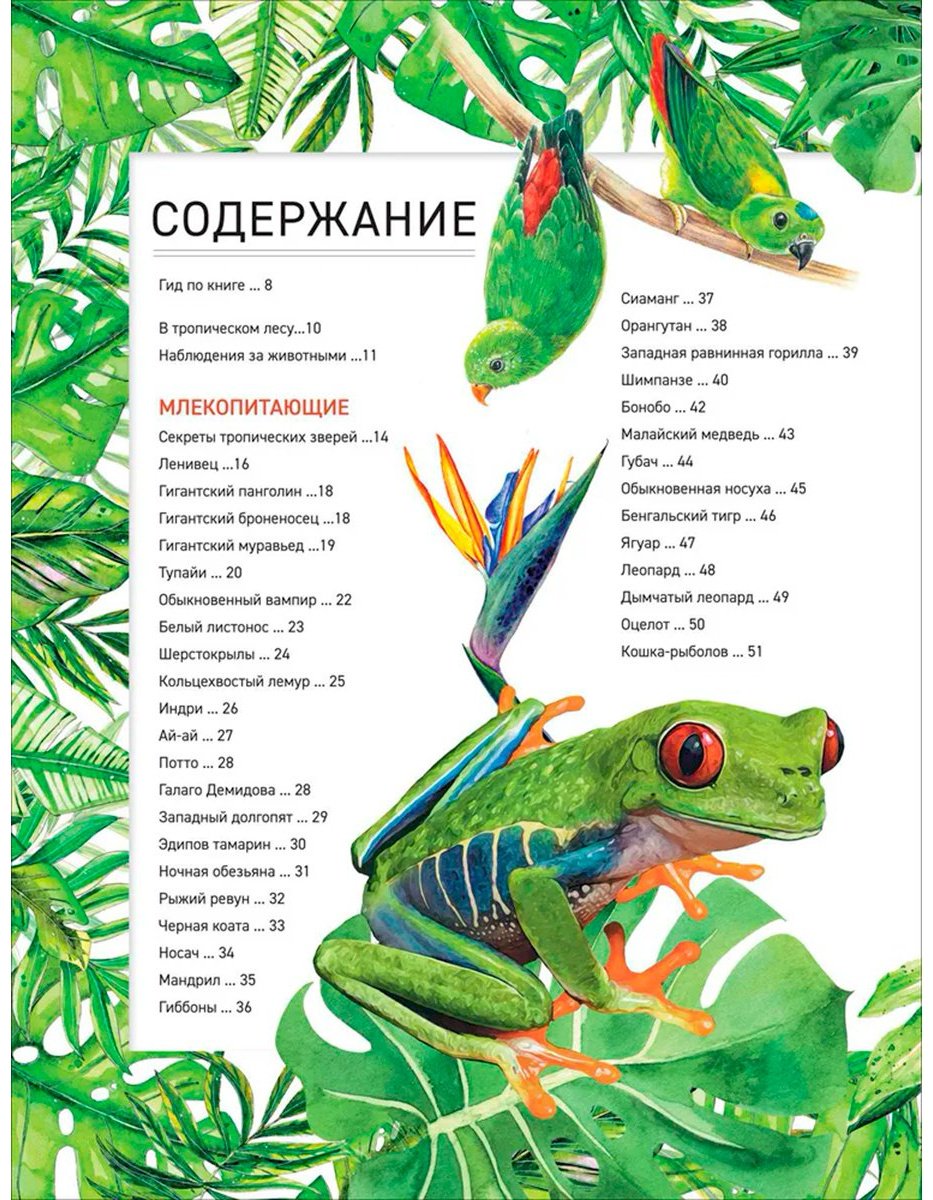 Книга Уилшер Дж.: Удивительные животные купить,NaN