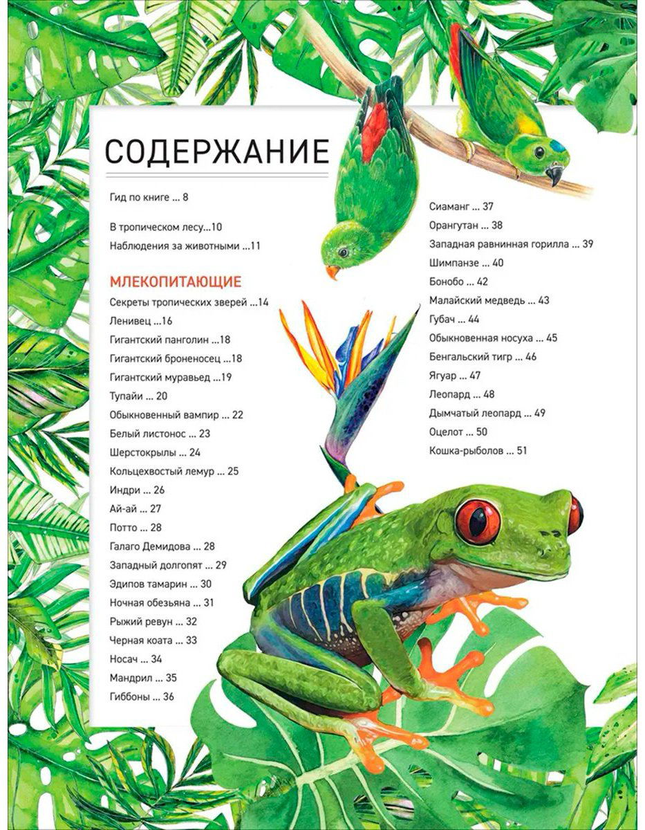Книга Уилшер Дж.: Удивительные животные купить,NaN