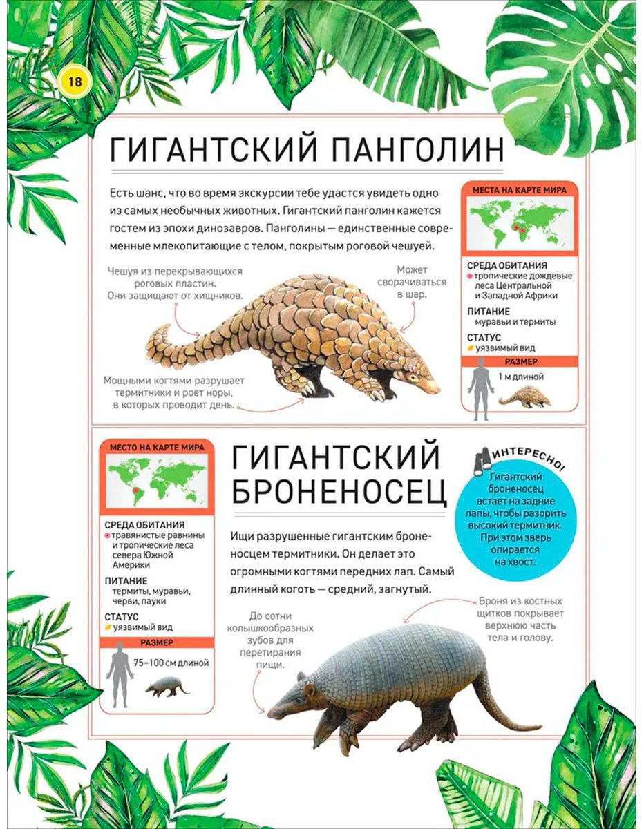 Книга Уилшер Дж.: Удивительные животные купить,NaN