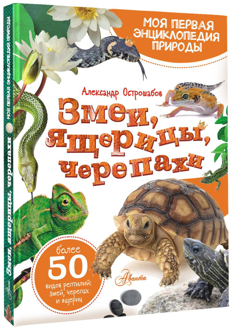 Книга Острошабов А. А.: Змеи, ящерицы, черепахи купить,NaN