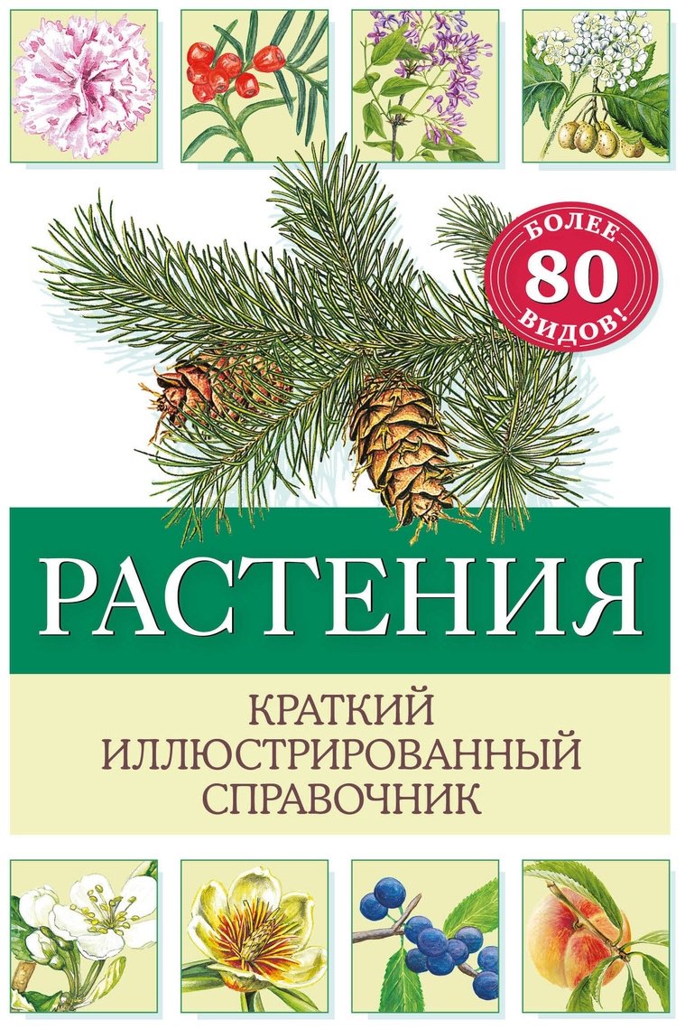 Книга Хааг Х.: Растения. Краткий иллюстрированный справочник купить,NaN