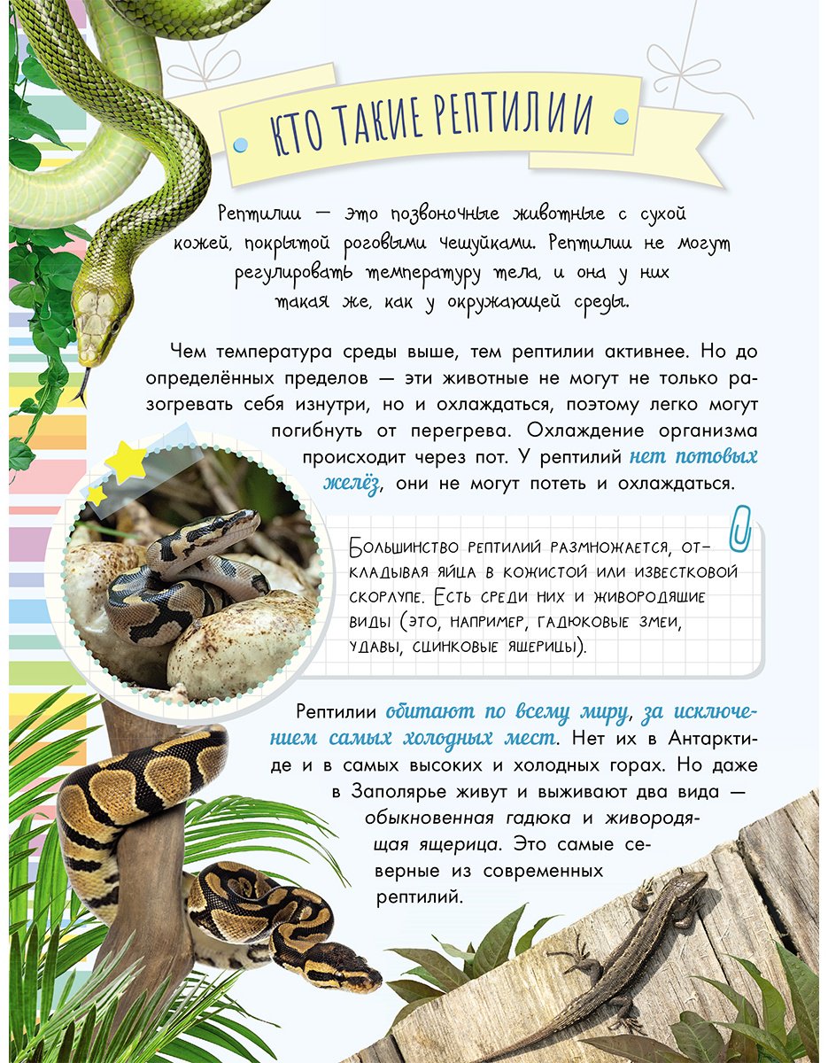 Книга Острошабов А. А.: Змеи, ящерицы, черепахи купить,NaN