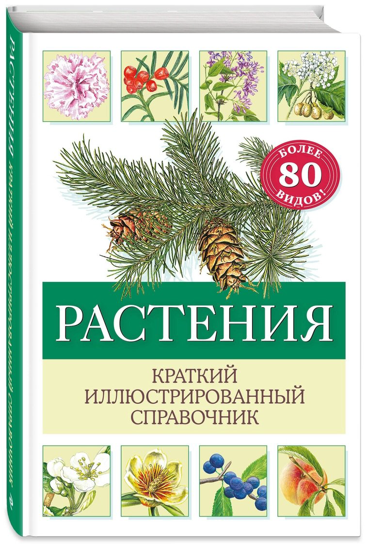 Книга Хааг Х.: Растения. Краткий иллюстрированный справочник купить,NaN
