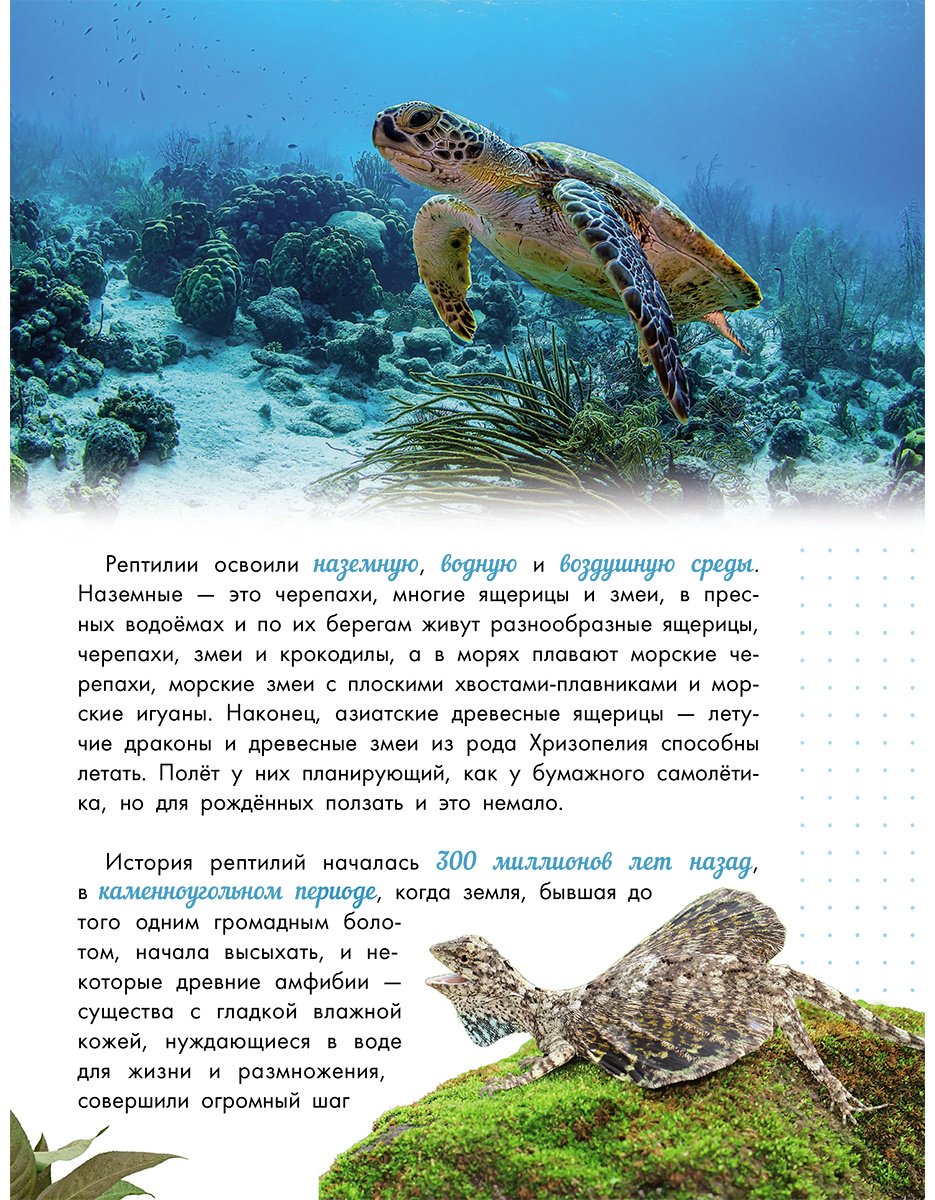 Книга Острошабов А. А.: Змеи, ящерицы, черепахи купить,NaN