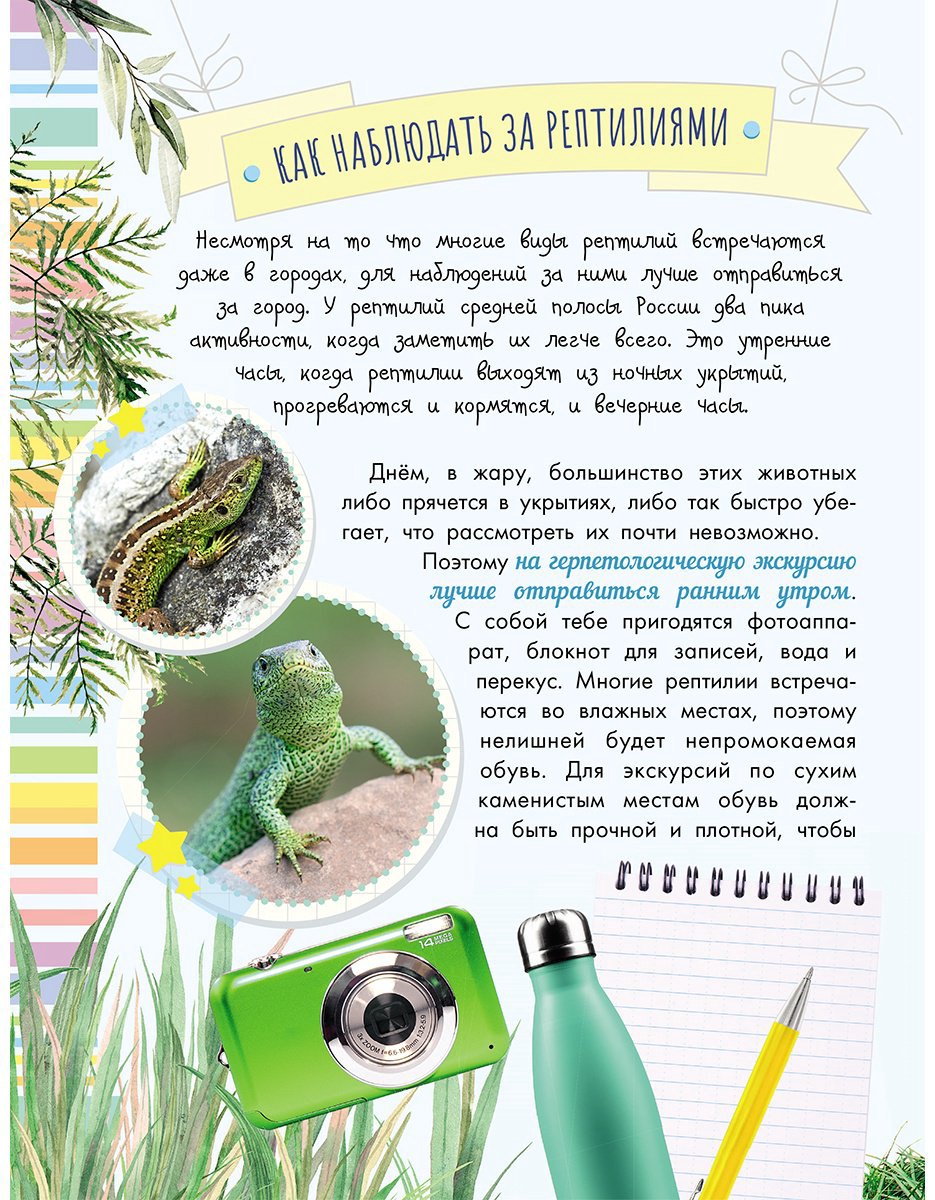 Книга Острошабов А. А.: Змеи, ящерицы, черепахи купить,NaN