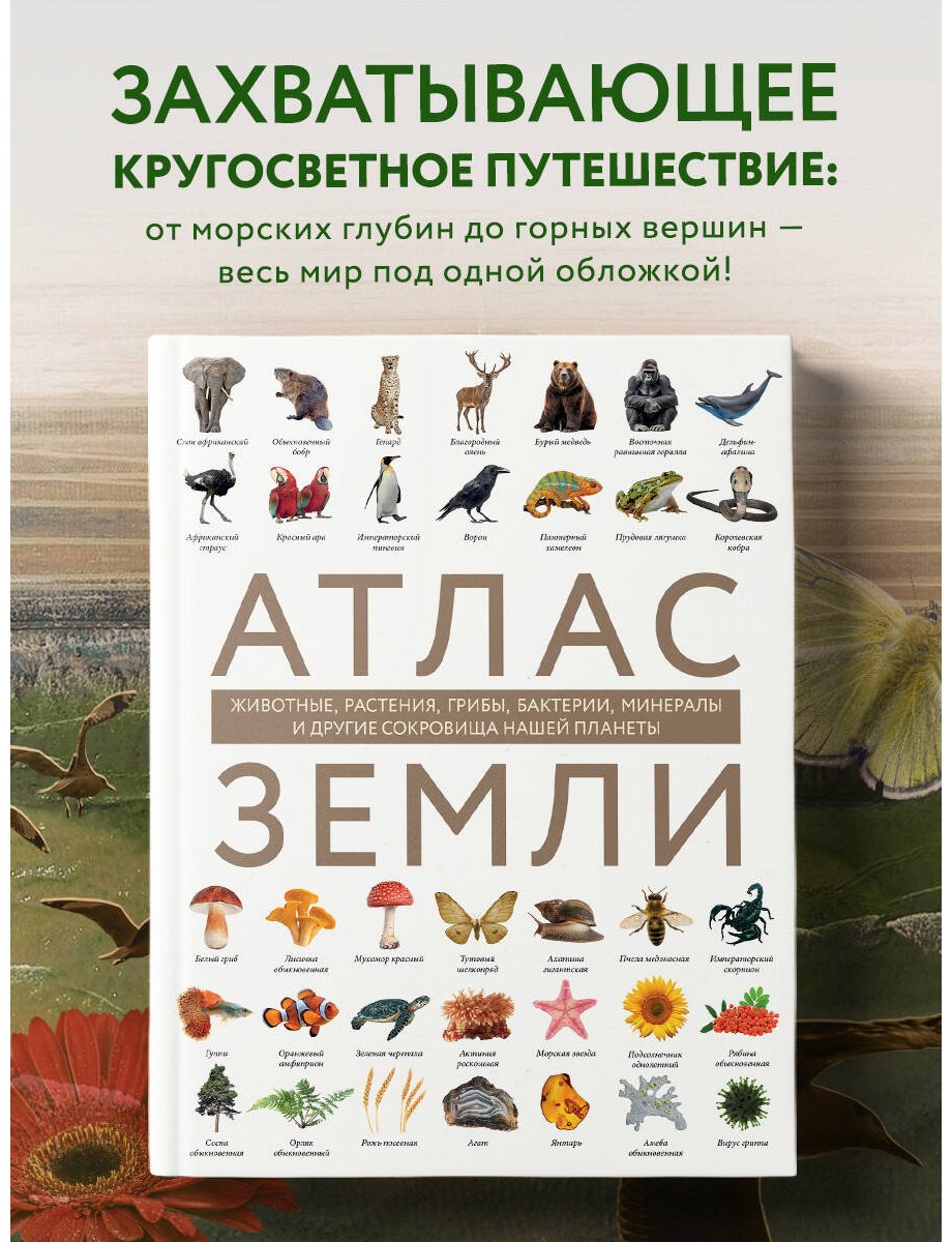 Книга Михайлова Р.: Атлас Земли. Животные, растения, грибы, бактерии, минералы и другие сокровища нашей планеты купить,NaN